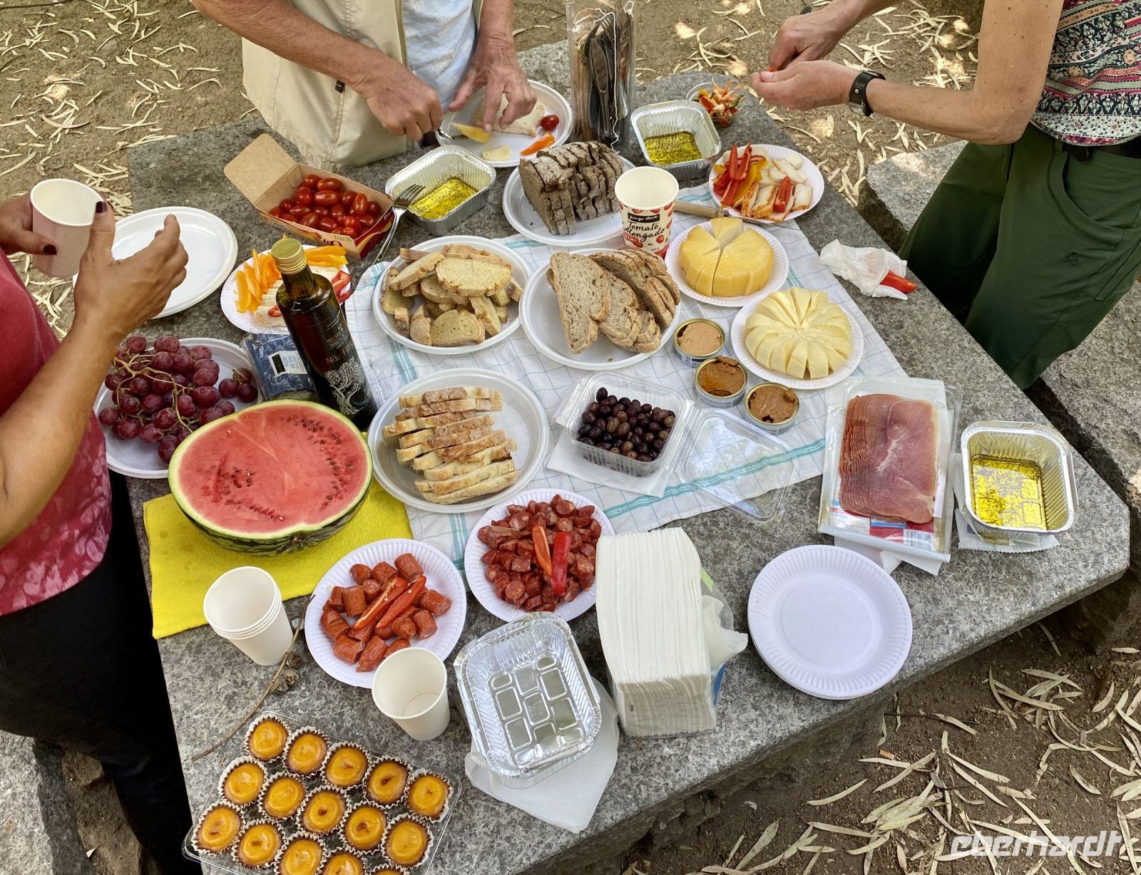 Tag 6 - Abschluss-Picknick