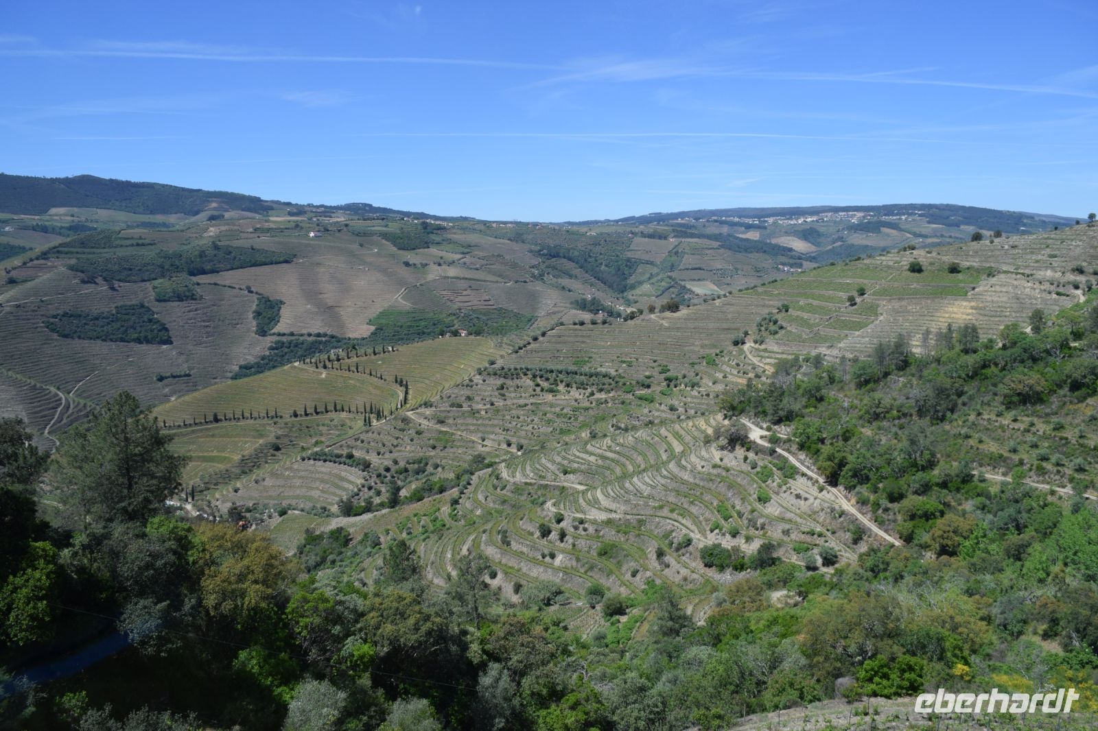 die höchst gelegene Weinregion Portugals