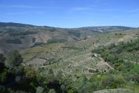 die höchst gelegene Weinregion Portugals