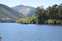 Schifffahrt auf dem Douro