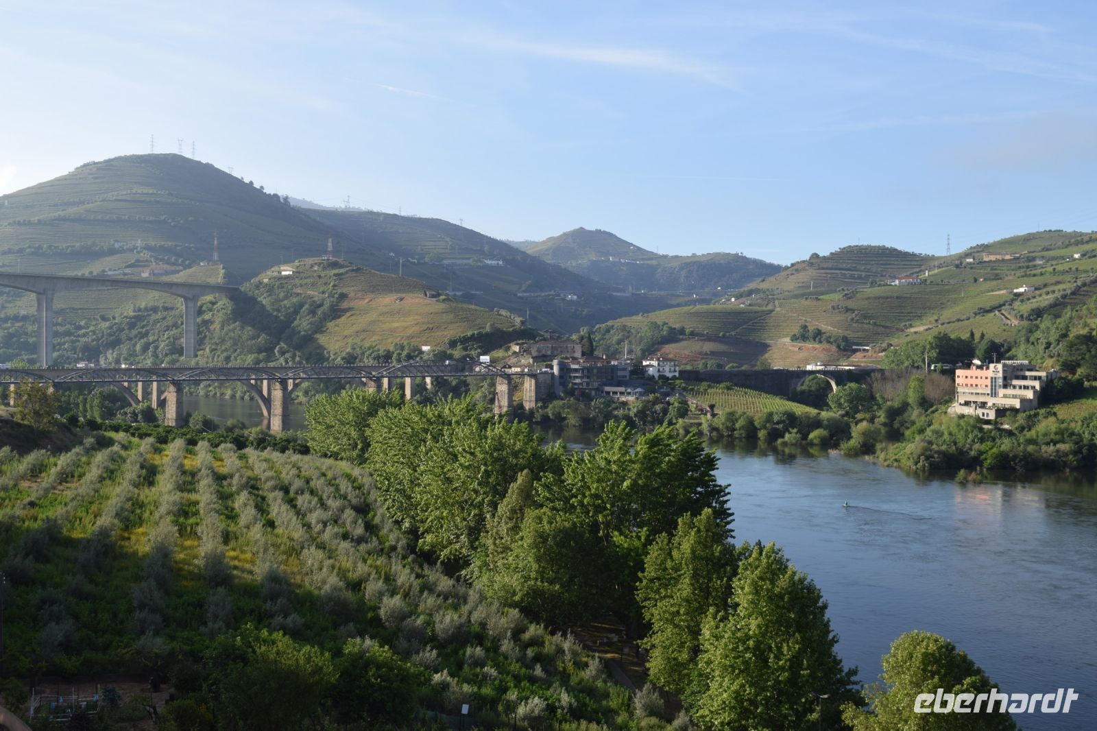 Blick über den Douro bei Regua
