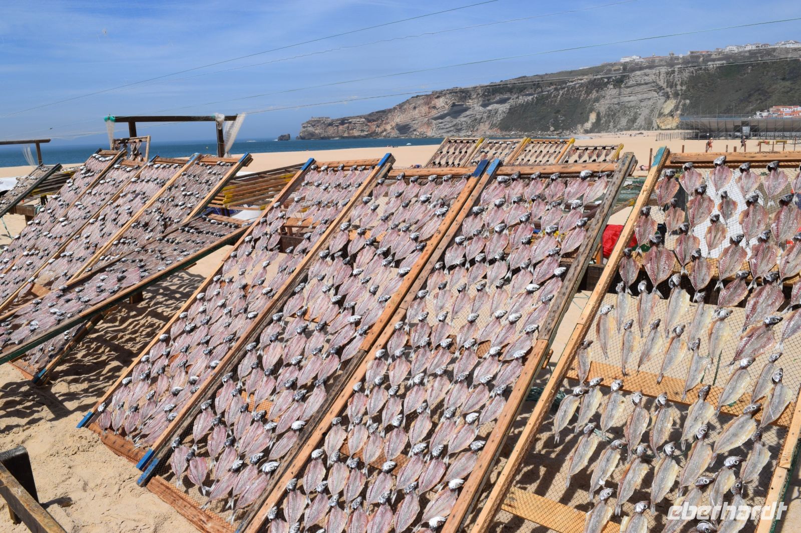 Fische werden zum Trocknen ausgebreitet