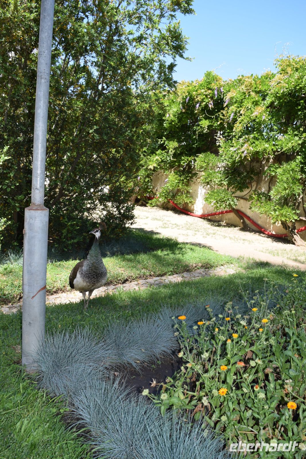 Parque Merendas in Evora