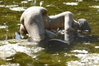 Palast von Mateus Nymphe