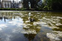 Palast von Mateus Nymphe