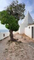 kleine Kapelle unweit unseres Hotels an der Algarve 