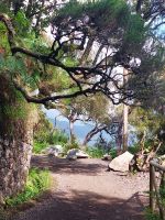 Levada dos 25 Fontes