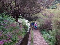 Levada dos 25 Fontes