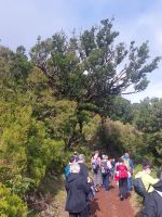 Unterhalb des Pedreira auf 1.200m Höhe