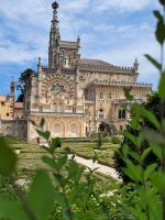 0413 Park von Bussaco.jpg