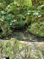 0416 Park von Bussaco.jpg