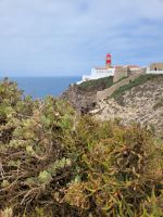 0905 Coba Sao Vincente.jpg