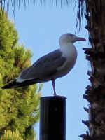 0913 Kein Denkmal :-).jpg