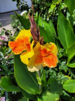 1002 Auf dem Weg nach Armacao de Pera.jpg