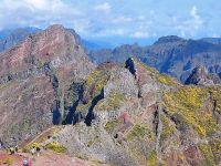 Der Weg der Hauptgruppe ist erkennbar