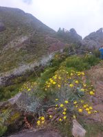 Die kleinere Gruppe steigt vom Parkplatz zum Pico Ruivo auf
