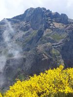 Das Ziel - der Pico Ruivo