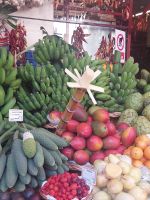 Pitanga, Philooendro und Zuckerrohr