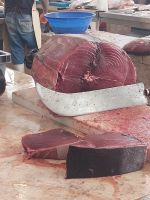 Bitte ein Tunfischsteak