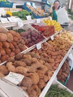 Mehrer Sorten von Süsskartoffeln