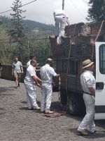 Carreiros do Moonte - Korbschlittenfahrt - die Schlitten werden angeliefert