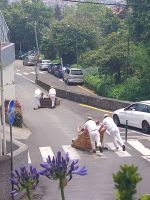 Carreiros do Monte - Korbschlittenfahrt