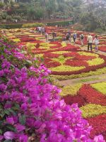 Botanische Garten - wie in Villandry (F)