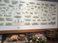 Portweinregion Douro: die älteste Region mit geschützter Herkunftsbezeichnung der Welt