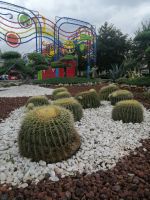 das Fest Sao Joao de Braga gilt als eines der größten nationalen Feste