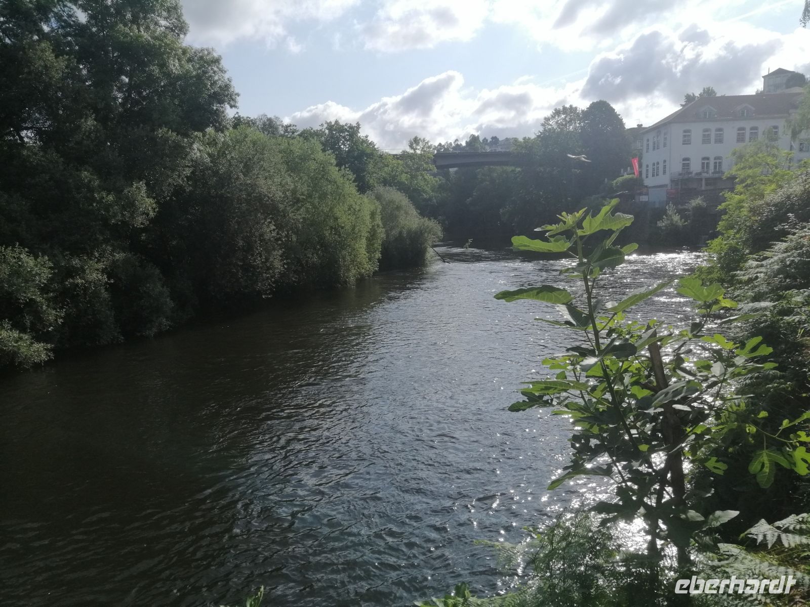 Fluß Tamega in Amarante