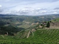 Weiterfahrt durch das Zentrum der Portweinregion