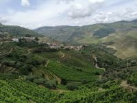 Weiterfahrt durch das Zentrum der Portweinregion