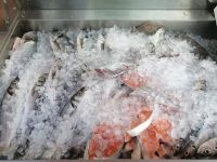 Fisch-Restaurant Nova Casa Cacao in Nazaré