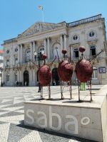 Freizeit in Lissabon, Saba Praça do Município