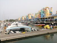 Hafen von Albufeira, fakultative Delphine-Beobachtungsfahrt mit dem Boot