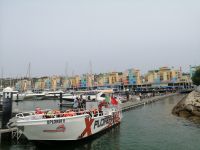 sehr zufrieden kehren wir in den Hafen von Albufeira zurück