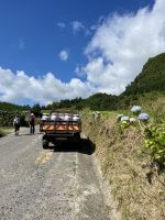 Auf dem Weg zum Lagoa das Furnas