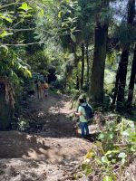 Auf dem Weg zum Lagoa das Furnas
