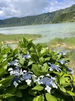 Herrliche Ausblicke auf den grünen Furnas-See