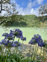 Herrliche Ausblicke auf den grünen Furnas-See
