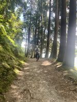 Wanderweg Furnas-See