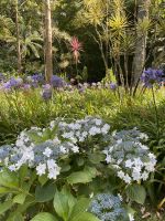 Botanischer Garten Terra Nostra Park