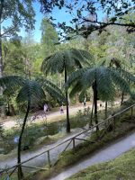 Botanischer Garten Terra Nostra Park