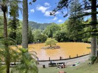 Ein warmes Bad im Thermalbecken des Terra-Nostra-Parkes nehmen