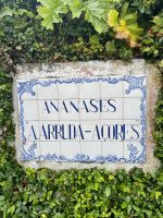 Ananas-Plantage A Arruda nahe Ponta Delgada