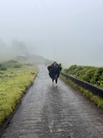 Lebensretter Regenponcho