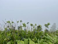 Immer wieder blühende Farbtupfer am Wegesrand