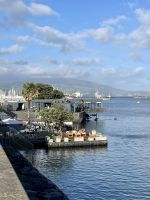 Wohlverdientes Abendessen im Restaurant Cais da Sardinha