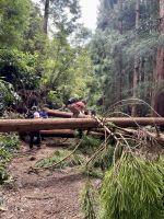 ... mit viel Anstieg und über Stock und Stein