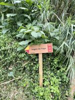 Knapp 6 Kilometer bis zum Lagoa do Fogo